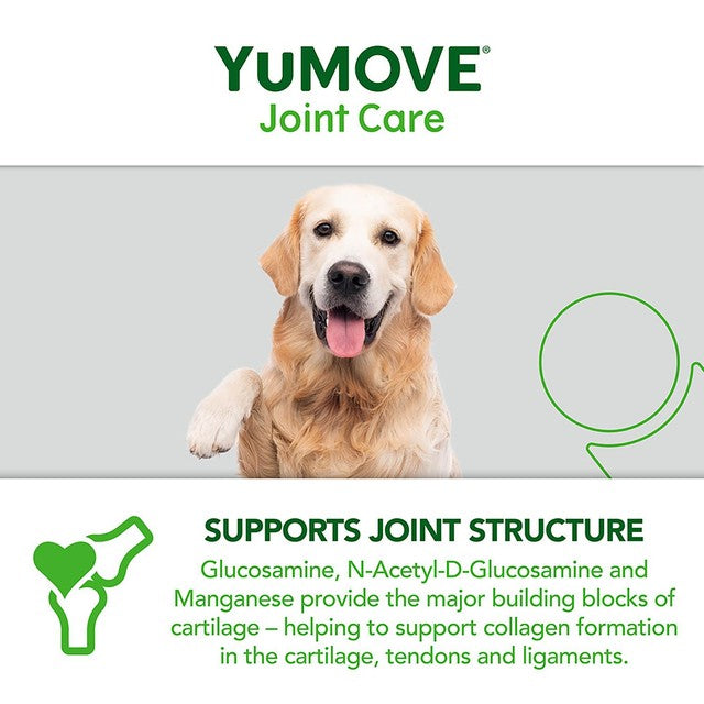 Lintbells YuMove Senior dog joint supplement (British brand)