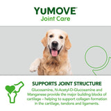 Lintbells YuMove Senior dog joint supplement (British brand)