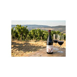 La Miranda Secastilla Garnacha Somontano red wine 75cl, UK version