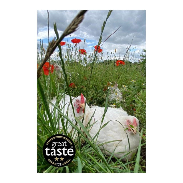 Packington free range medium whole chicken 1.75kg, imported from the UK
