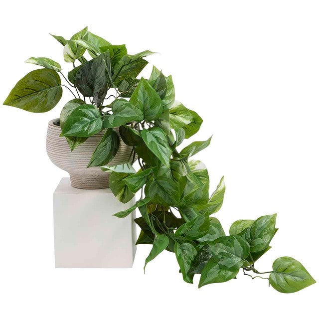 M&S artificial trailing pothos plant in cement pot, imported from the UK