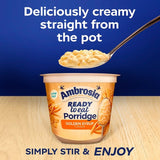 Ambrosia porridge pot Golden Syrup 210g - British product
