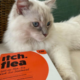 Itch Flea Treatment for Cats 2 pack, UK version
