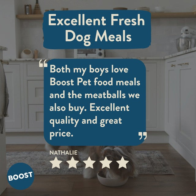 Boost Pet chicken with superfoods wet dog food 400g - British product