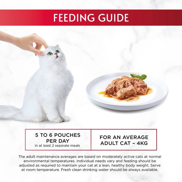 Gourmet wet cat food poultry variety turkey chicken duck 6 x 50g - British product