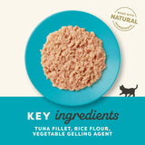 Applaws kitten tuna wet cat food 70g - British product