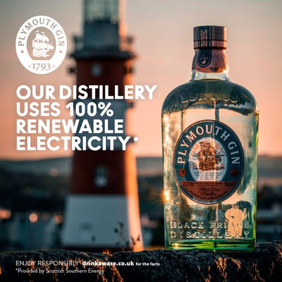 Plymouth Sloe Gin Liqueur 70cl
