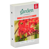 Sainsburys Garden Crocosmia x20