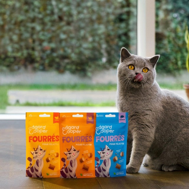 Edgard & Cooper salmon cat treats 60g - British product
