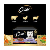 Cesar Juicy Hotpot dog food trays mixed gravy 8x150g - British product