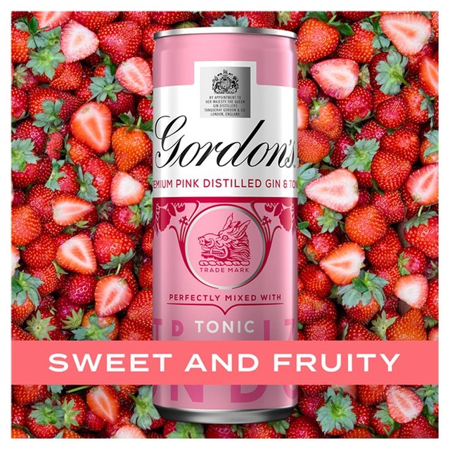 Gordon's pink gin and tonic 250ml can, UK version