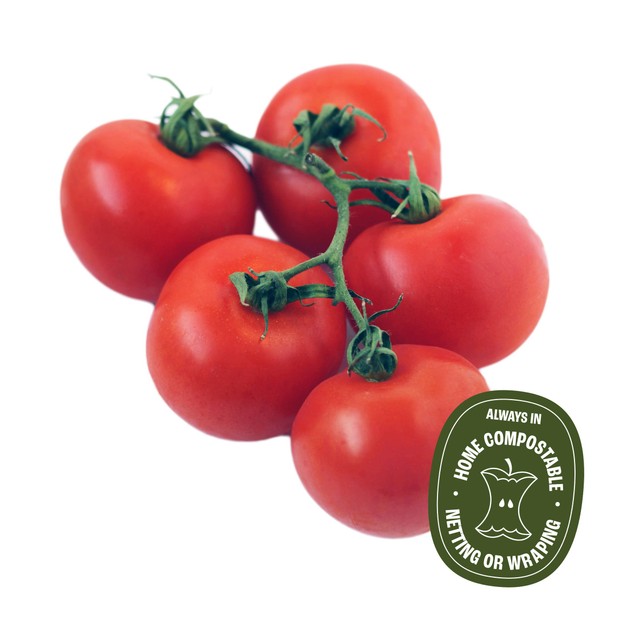 Wholegood organic vine tomatoes 450g (British brand)