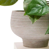 M&S artificial trailing pothos plant in cement pot, imported from the UK