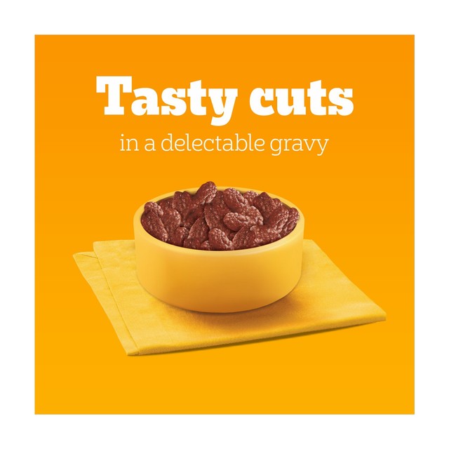 Pedigree wet dog food pouches mixed varieties in gravy 40 x 100g, imported from the UK