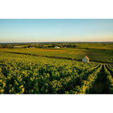 Louis Jadot Macon Blanc Villages, Grange Magnien white wine 75cl, UK version