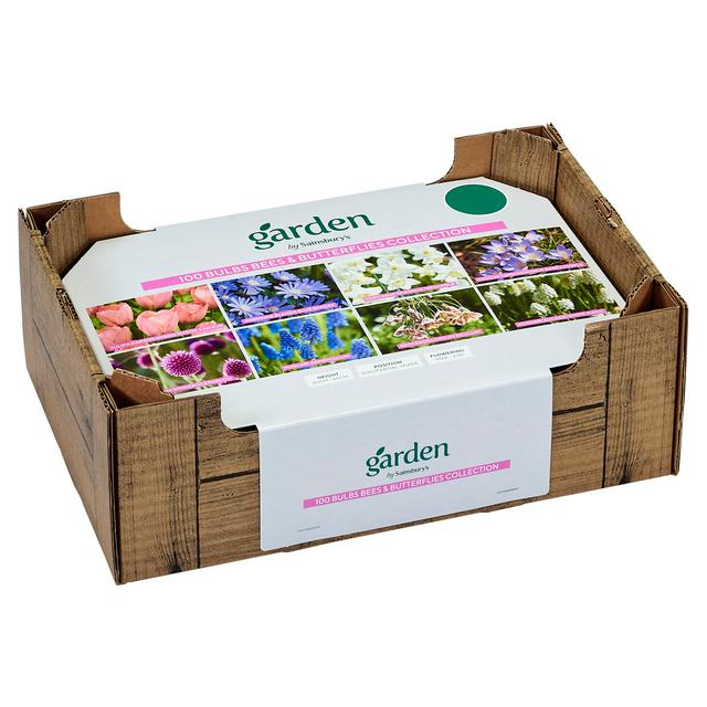 Sainsburys Bees Butterflies Collection