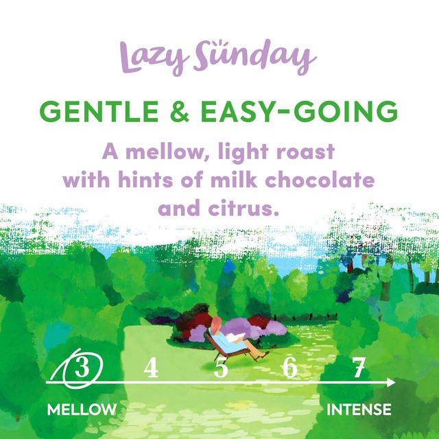 Taylors Of Harrogate Lazy Sunday ground coffee 200g, imported from the UK