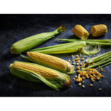 M&S Super Sweet Corn on the Cob 2 Pack, imported from the UK