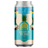 Vault City Caught in the Rain Modern Sour Beer 440ml