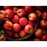 M&S Royal Gala Small Apples pack of 6, imported from the UK