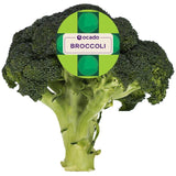 Ocado fresh broccoli vegetable 375g, imported from the UK