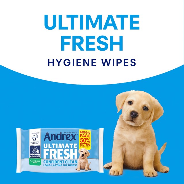 Andrex Ultimate Fresh Odour Control toilet wipes 36 pack - British product