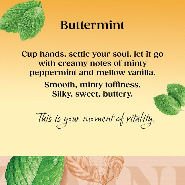 Twinings Buttermint Herbal Tea Bags 20 Pack (British brand)