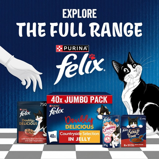 Felix Doubly Delicious wet cat food 12x85g - British product