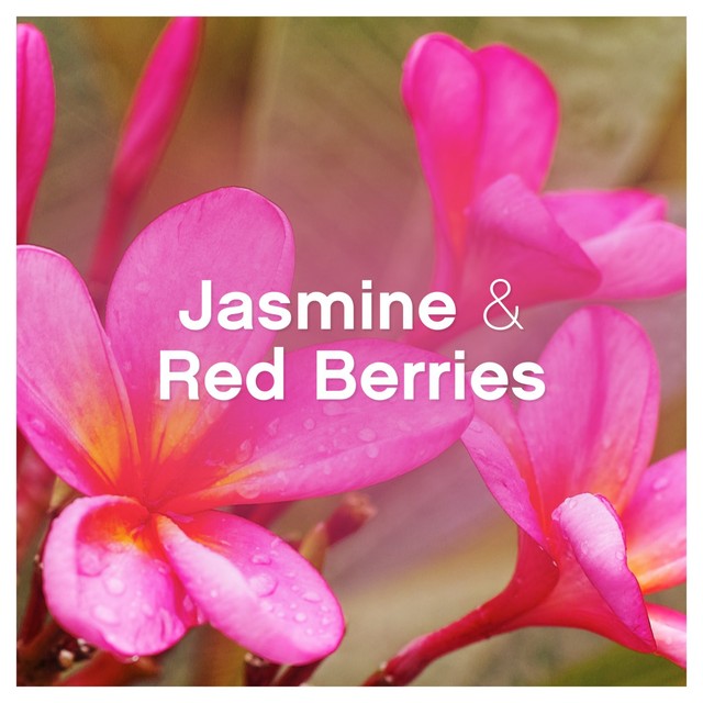 Lenor fabric conditioner Ruby Jasmine 858ml, UK version