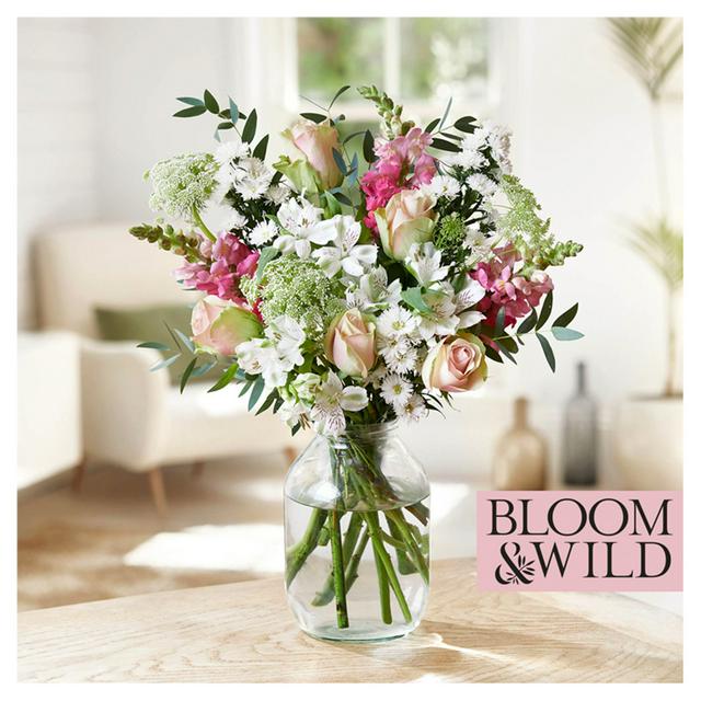 Bloom Wild The Daydreamer Blooms