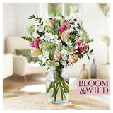 Bloom Wild The Daydreamer Blooms