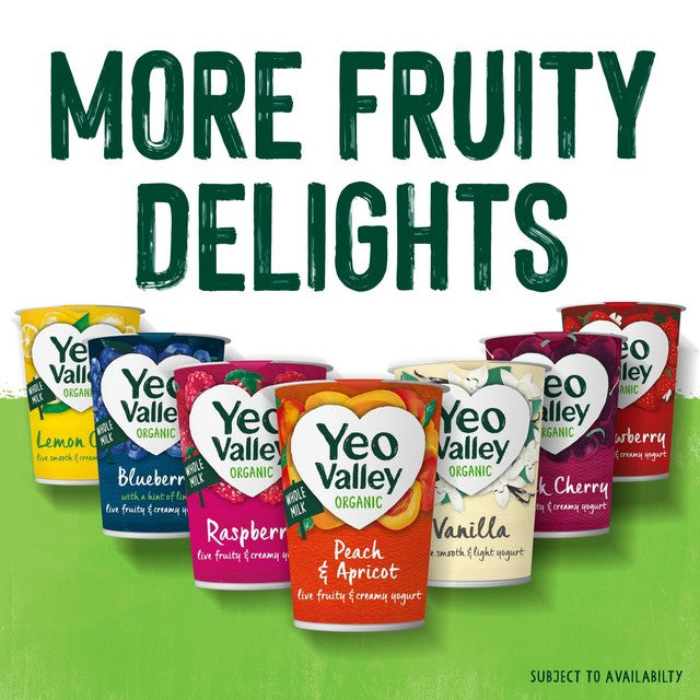 Yeo Valley Strawberry Yoghurt 450g (British brand)