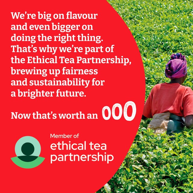 Typhoo black tea bags 240 count (British brand)