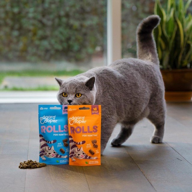 Edgard & Cooper salmon chicken cat treat soft rolls 45g - British product