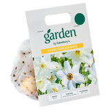 Sainsburys Garden Mixed Narcissi White x15