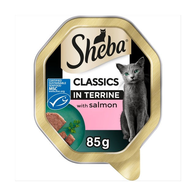 Sheba wet cat food MSC Salmon in Terrine 85g (British brand)