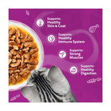 Whiskas Aromatic Fusion wet cat food pouches 40 x 85g (British brand)