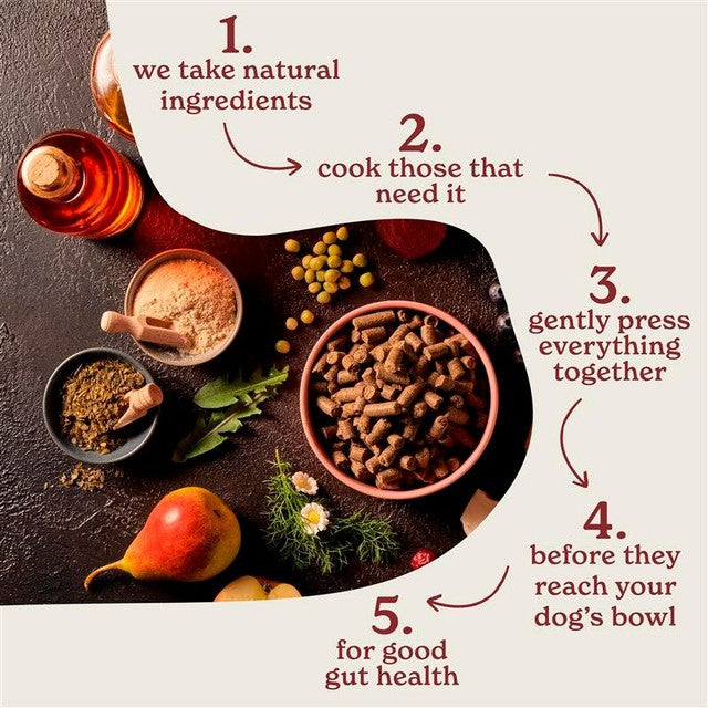 Forthglade Salmon with Sweet Potato Dog Food 2kg - British product