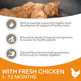 IAMS kitten dry cat food chicken 3kg, UK version