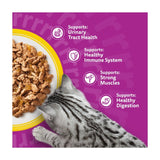 Whiskas poultry cat food pouches 80 x 85g (British brand)