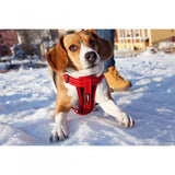 EzyDog Chest Plate Camouflage Dog Harness Medium - British product