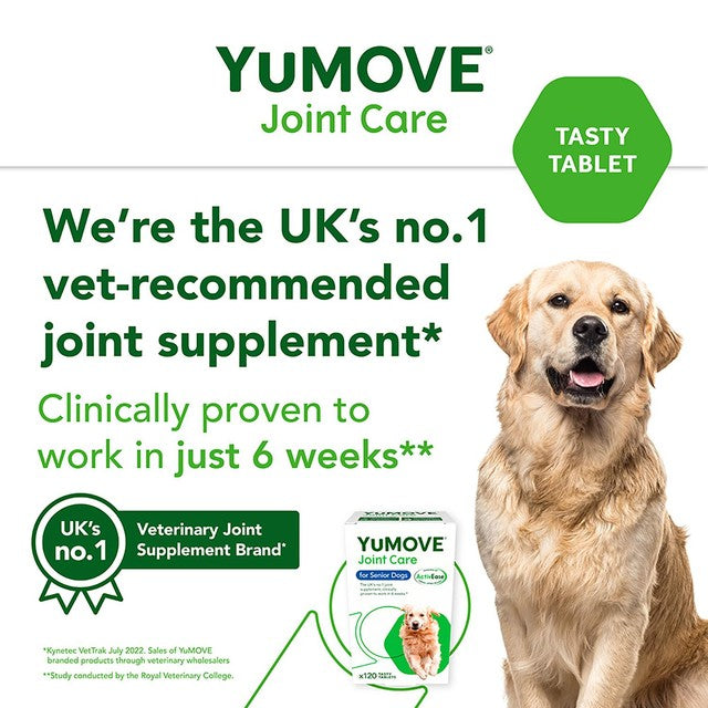 Lintbells YuMove Senior dog joint supplement (British brand)