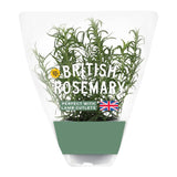 M&S rosemary pot, imported from the UK