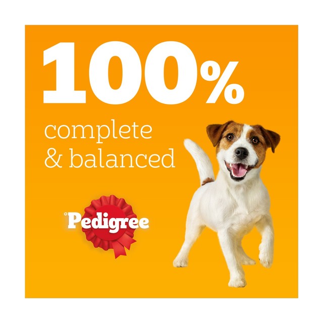 Pedigree adult dog wet food pouches mixed selection in jelly 12 x 100g, imported from the UK