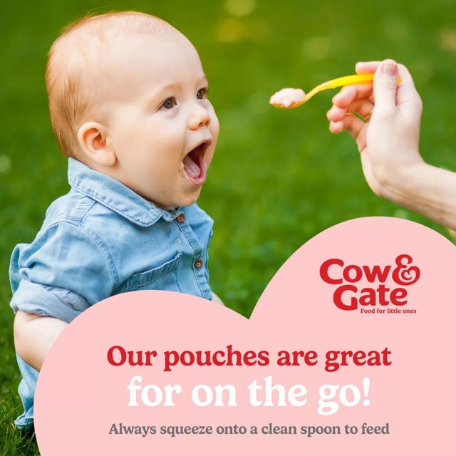 Cow & Gate apple and banana baby food pouch 100g - British product