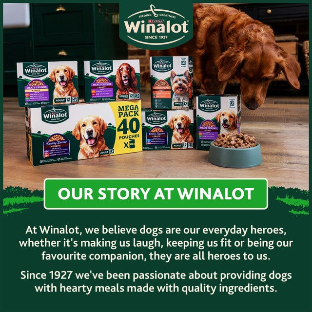 Winalot Sunday Dinner Mixed in Gravy wet dog food 12 x 100g pouches (British brand)