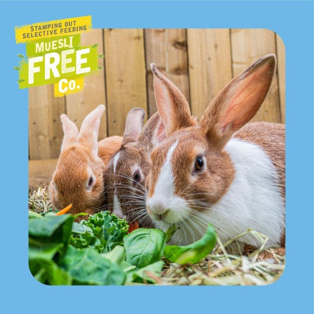 Burgess Excel Junior & Dwarf Rabbit Nuggets with Mint 3kg - British product