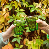 Duralex Picardie Jungle Green tumbler glasses 250ml - British product
