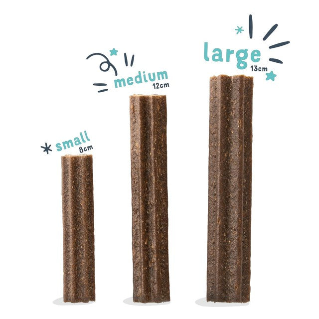 Edgard Cooper apple eucalyptus large dog dental sticks - British product