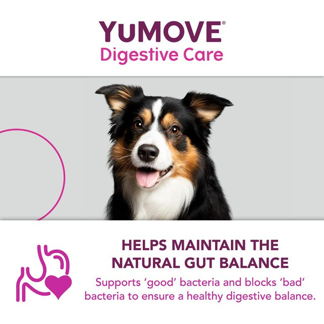 Lintbells YuMOVE PLUS dog digestive health supplement (British brand)
